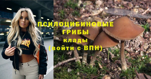 ешки Алексеевка